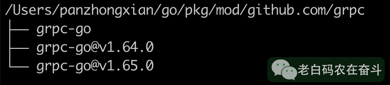 【Go】理解包、模块 第10张 【Go】理解包、模块 第10张